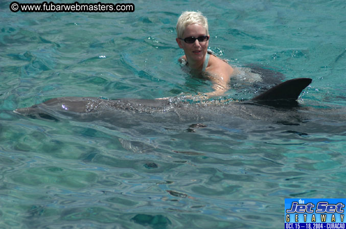 Sunday's Dolphin Swim Adventure and Animal Encounter 2004