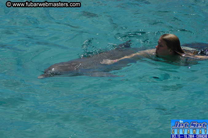 Sunday's Dolphin Swim Adventure and Animal Encounter 2004
