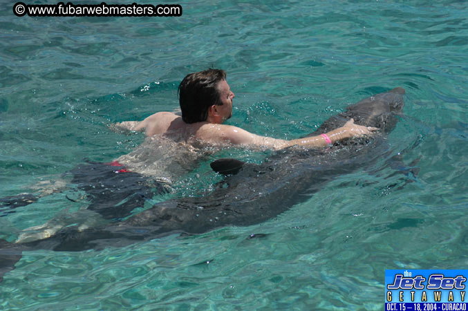 Sunday's Dolphin Swim Adventure and Animal Encounter 2004
