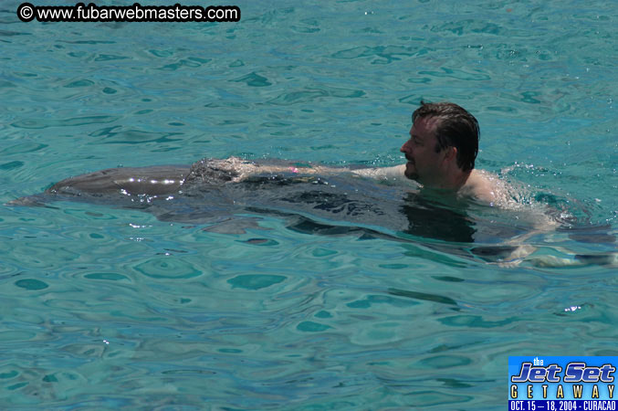 Sunday's Dolphin Swim Adventure and Animal Encounter 2004