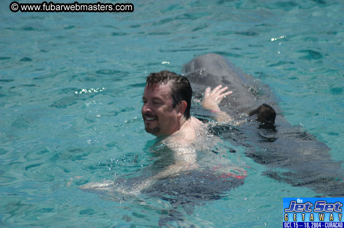 Sunday's Dolphin Swim Adventure and Animal Encounter 2004