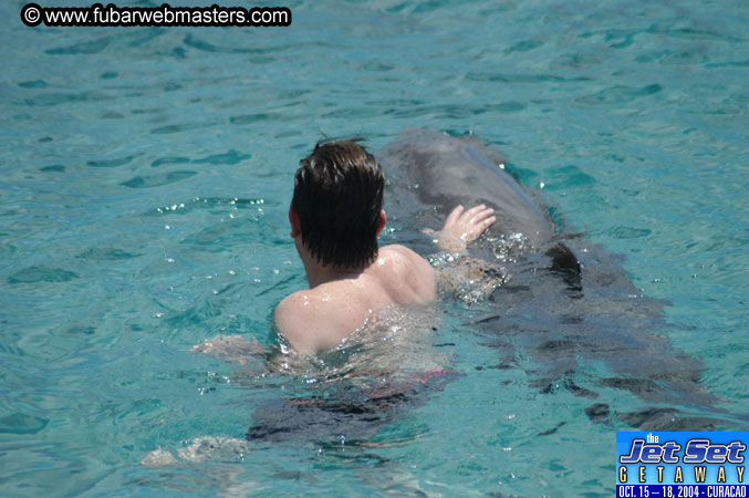 Sunday's Dolphin Swim Adventure and Animal Encounter 2004