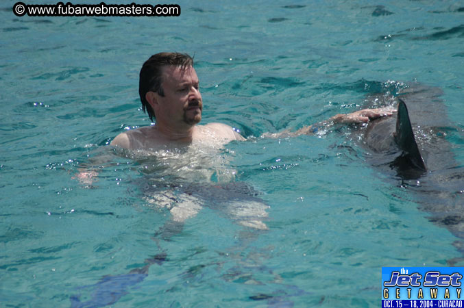 Sunday's Dolphin Swim Adventure and Animal Encounter 2004