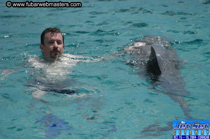 Sunday's Dolphin Swim Adventure and Animal Encounter 2004