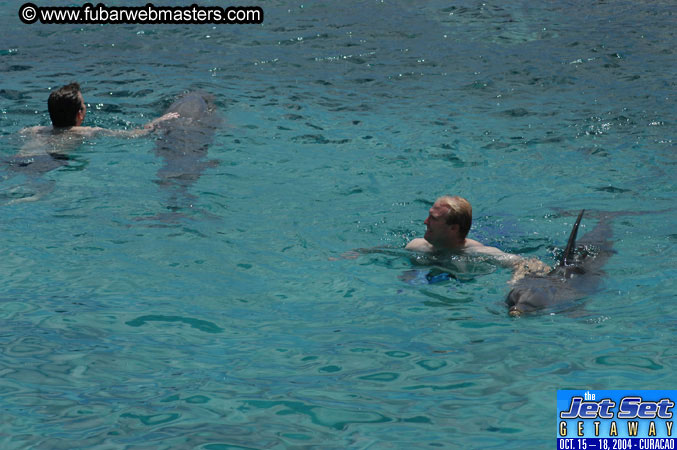 Sunday's Dolphin Swim Adventure and Animal Encounter 2004