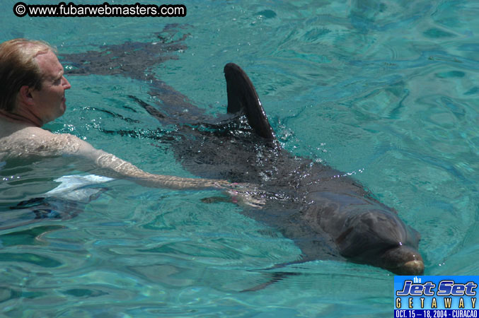Sunday's Dolphin Swim Adventure and Animal Encounter 2004
