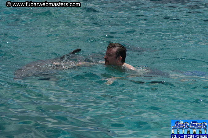 Sunday's Dolphin Swim Adventure and Animal Encounter 2004