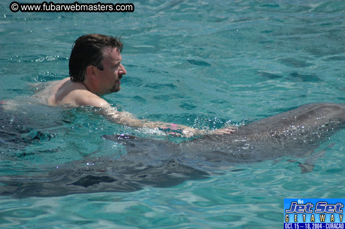 Sunday's Dolphin Swim Adventure and Animal Encounter 2004