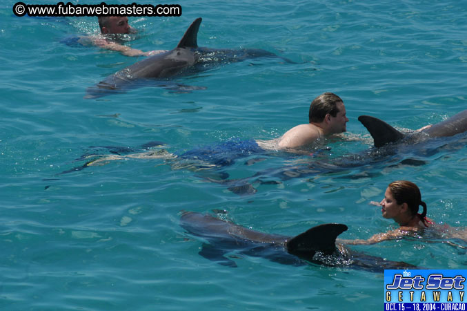 Sunday's Dolphin Swim Adventure and Animal Encounter 2004