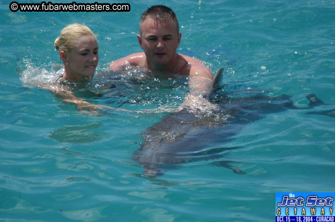 Sunday's Dolphin Swim Adventure and Animal Encounter 2004