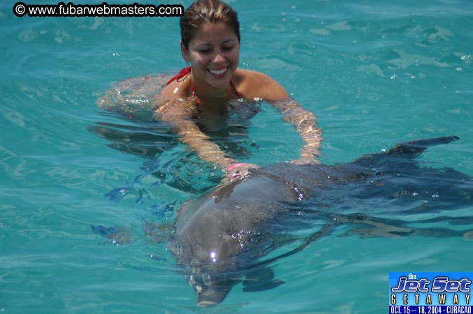 Sunday's Dolphin Swim Adventure and Animal Encounter 2004
