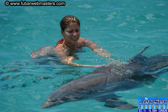 Sunday's Dolphin Swim Adventure and Animal Encounter 2004