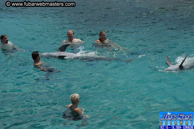 Sunday's Dolphin Swim Adventure and Animal Encounter 2004