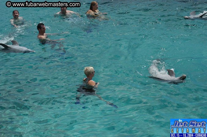 Sunday's Dolphin Swim Adventure and Animal Encounter 2004