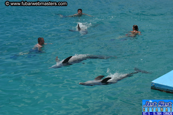 Sunday's Dolphin Swim Adventure and Animal Encounter 2004