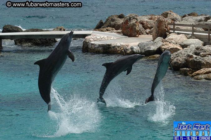 Sunday's Dolphin Swim Adventure and Animal Encounter 2004