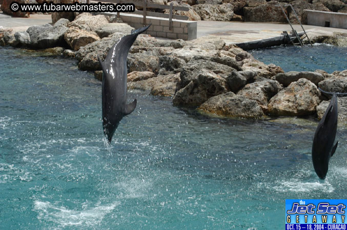 Sunday's Dolphin Swim Adventure and Animal Encounter 2004