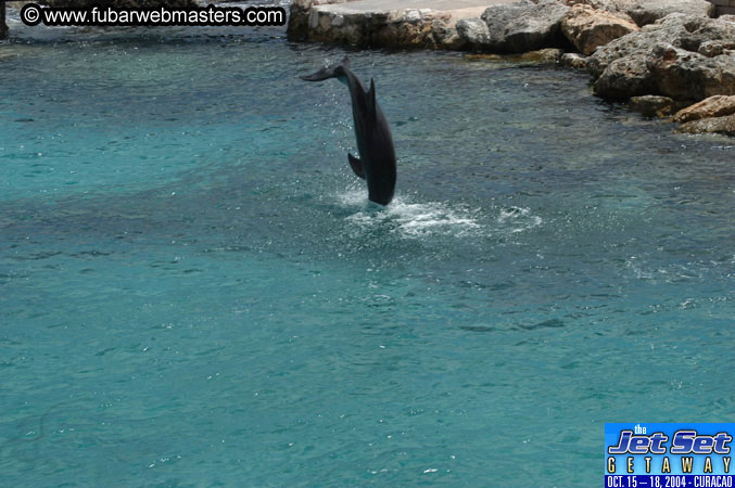 Sunday's Dolphin Swim Adventure and Animal Encounter 2004