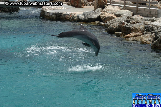 Sunday's Dolphin Swim Adventure and Animal Encounter 2004