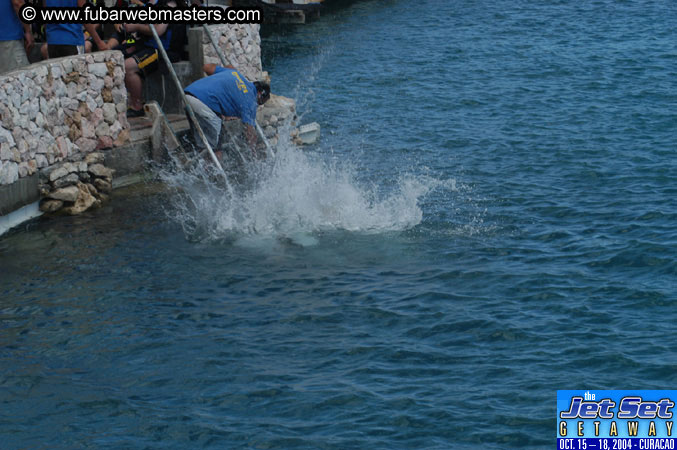 Sunday's Dolphin Swim Adventure and Animal Encounter 2004