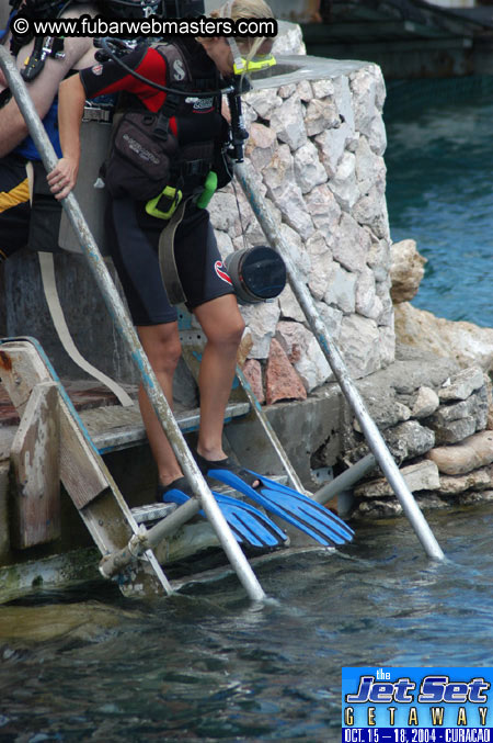 Sunday's Dolphin Swim Adventure and Animal Encounter 2004