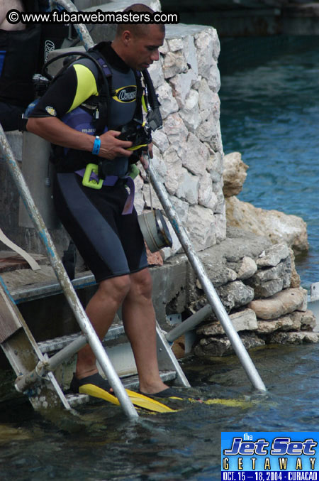 Sunday's Dolphin Swim Adventure and Animal Encounter 2004