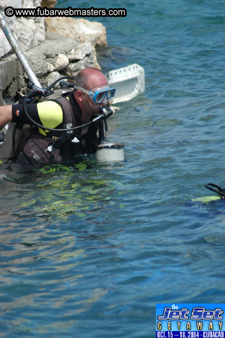 Sunday's Dolphin Swim Adventure and Animal Encounter 2004