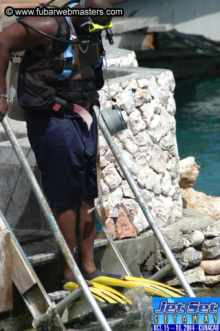 Sunday's Dolphin Swim Adventure and Animal Encounter 2004