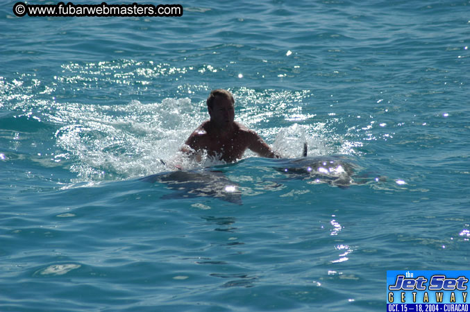 Sunday's Dolphin Swim Adventure and Animal Encounter 2004