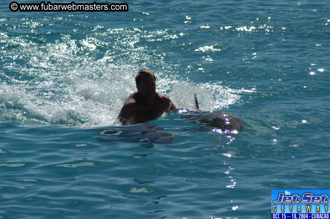 Sunday's Dolphin Swim Adventure and Animal Encounter 2004