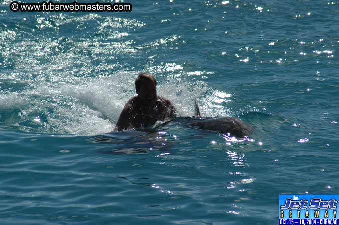 Sunday's Dolphin Swim Adventure and Animal Encounter 2004