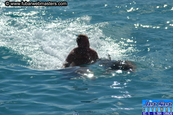 Sunday's Dolphin Swim Adventure and Animal Encounter 2004