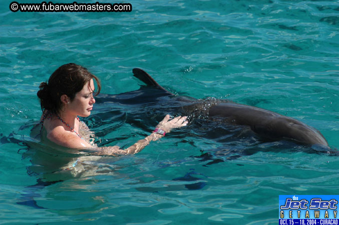 Sunday's Dolphin Swim Adventure and Animal Encounter 2004