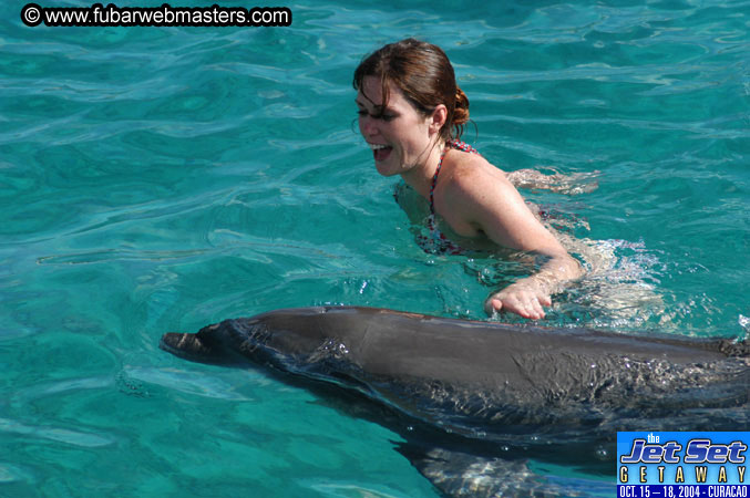 Sunday's Dolphin Swim Adventure and Animal Encounter 2004