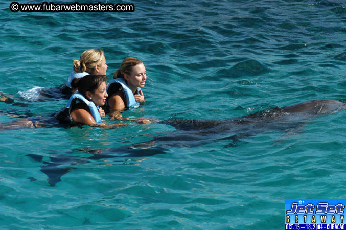 Sunday's Dolphin Swim Adventure and Animal Encounter 2004