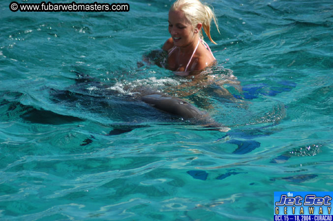 Sunday's Dolphin Swim Adventure and Animal Encounter 2004