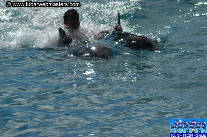 Sunday's Dolphin Swim Adventure and Animal Encounter 2004