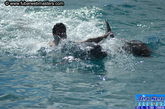Sunday's Dolphin Swim Adventure and Animal Encounter 2004