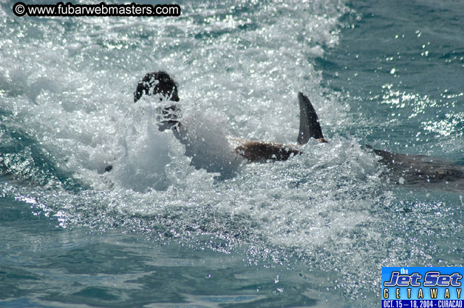 Sunday's Dolphin Swim Adventure and Animal Encounter 2004