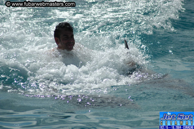 Sunday's Dolphin Swim Adventure and Animal Encounter 2004