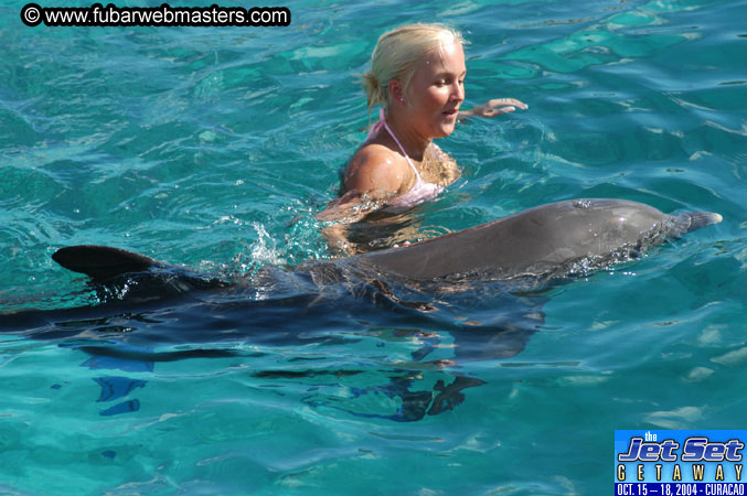 Sunday's Dolphin Swim Adventure and Animal Encounter 2004