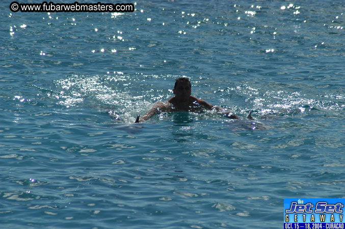 Sunday's Dolphin Swim Adventure and Animal Encounter 2004