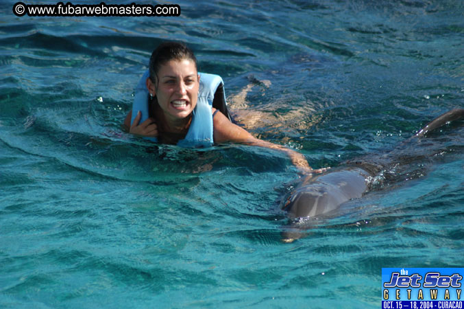 Sunday's Dolphin Swim Adventure and Animal Encounter 2004