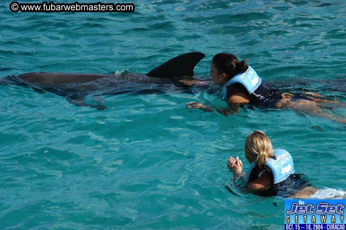 Sunday's Dolphin Swim Adventure and Animal Encounter 2004
