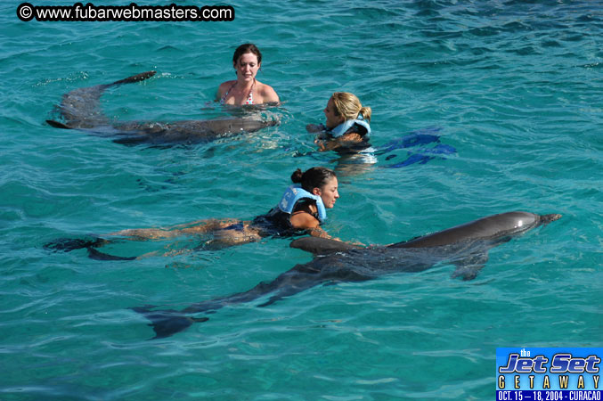 Sunday's Dolphin Swim Adventure and Animal Encounter 2004