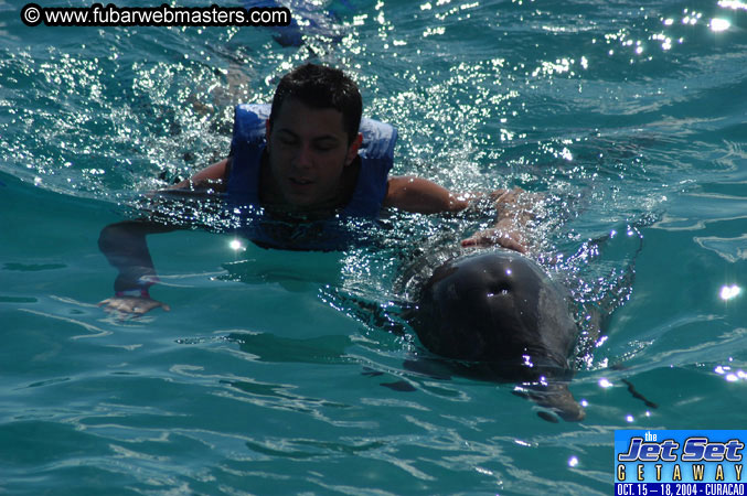 Sunday's Dolphin Swim Adventure and Animal Encounter 2004