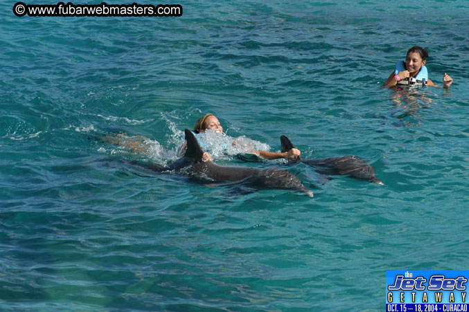 Sunday's Dolphin Swim Adventure and Animal Encounter 2004