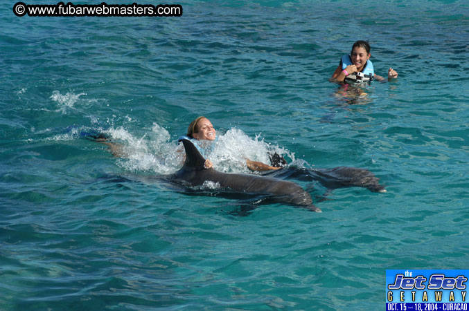 Sunday's Dolphin Swim Adventure and Animal Encounter 2004