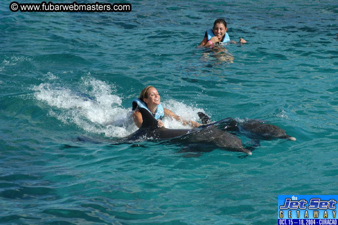 Sunday's Dolphin Swim Adventure and Animal Encounter 2004