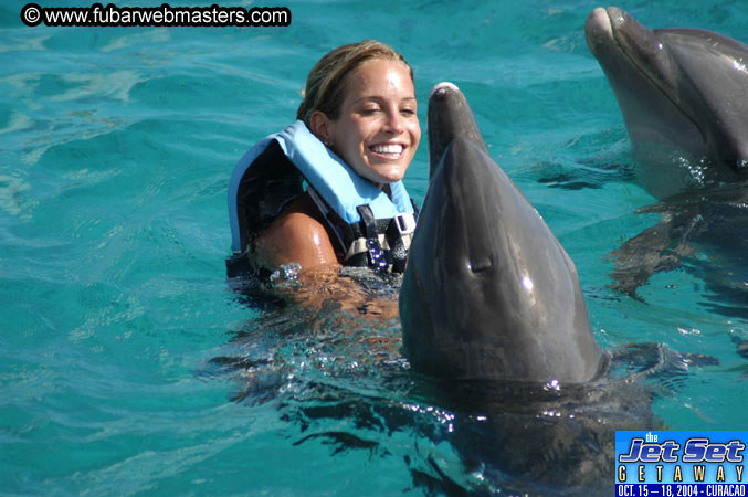 Sunday's Dolphin Swim Adventure and Animal Encounter 2004